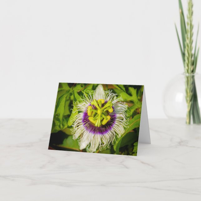 Passion Fruit Flower, Anaina Hou Gardens, Kilauea Anteckningskort (Framsida)