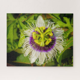Passion Fruit Flower, Anaina Hou Gardens, Kilauea Pussel