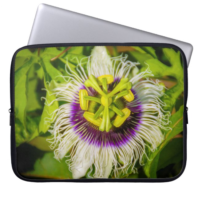 Passion Fruit Flower, Anaina Hou Gardens Wetdräkt Laptop Sleeve (Framsidan)