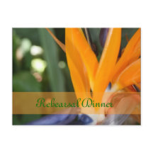 Passion i vykort för paradise Rehearsal Dinner