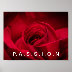 Passion Röd ros Poster