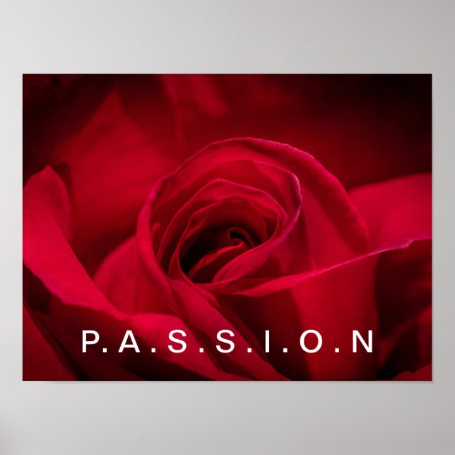 Passion Röd ros Poster (Framsidan)