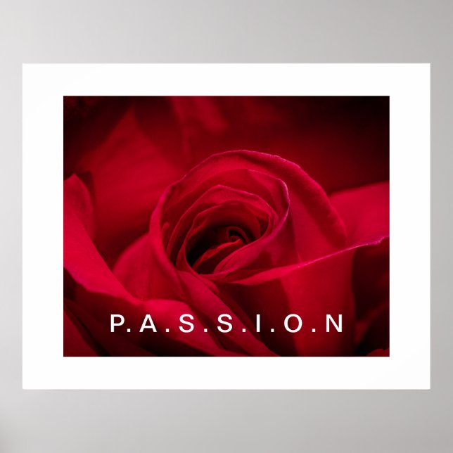 Passion Röd ros Poster (Framsidan)