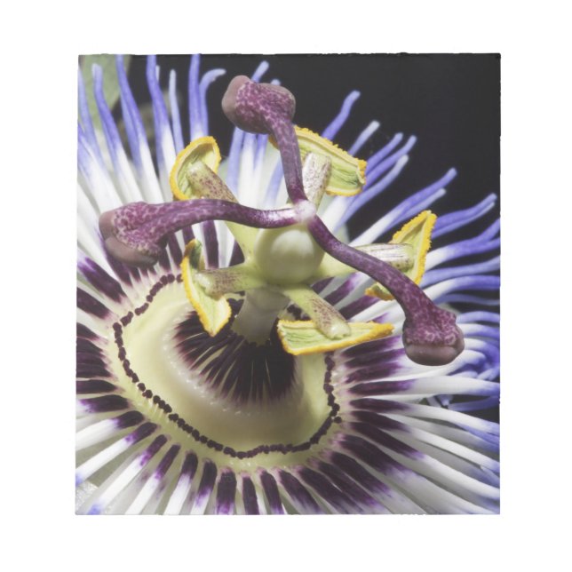 Passionblomma (MR.) Anteckningsblock (Framsida)