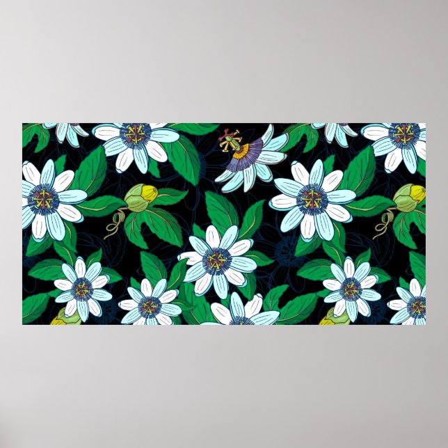 Passionblomma, passiflora mot svart bakgrund. F Poster (Framsidan)