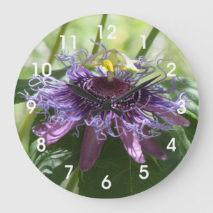 Passionblomma Stor Klocka
