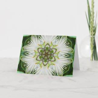 PassionblommaMandala Kort