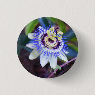 Passionblomman Pinback knäppas Knapp