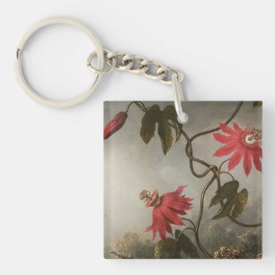 Passionblommor