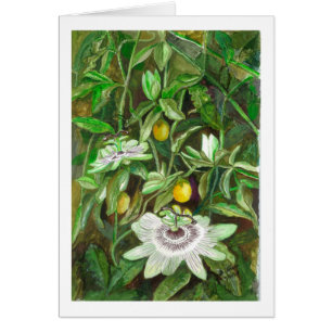 Passionblommor Hälsningskort