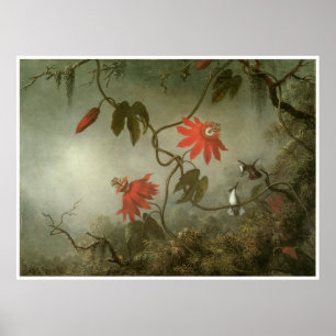 Passionblommor och Hummingbirds Poster