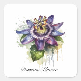 Passionerad Lila Passion Flower Fyrkantigt Klistermärke