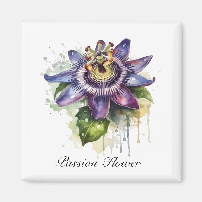 Passionerad Lila Passion Flower Magnet (Framsidan)
