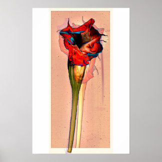 Passionsblomma #1 poster