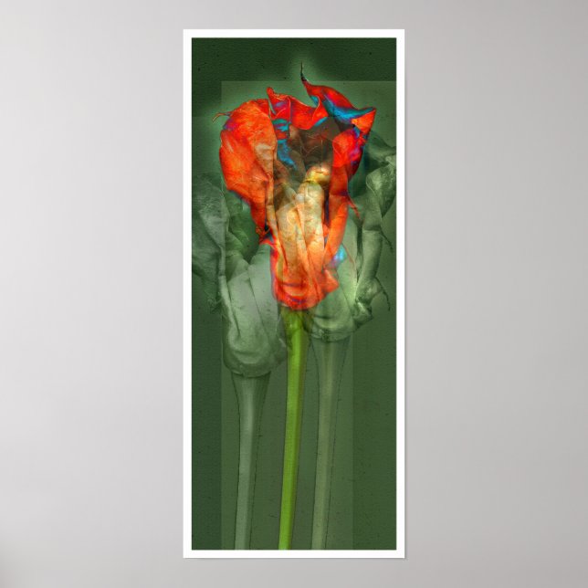 Passionsblomma #6 poster (Framsidan)