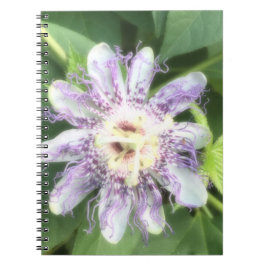 Passionsblomma Anteckningsbok
