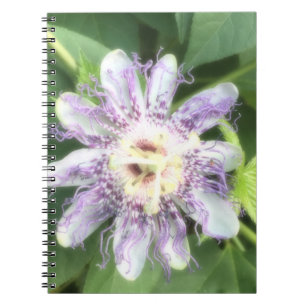Passionsblomma Anteckningsbok