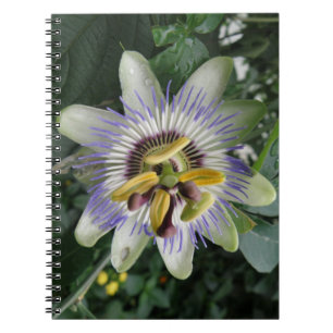 Passionsblomma bärbar dator anteckningsbok med spiral