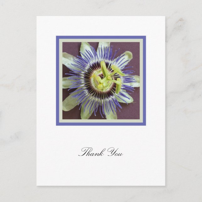 Passionsblomma Sympathy Tack Postcard Vykort (Framsida)