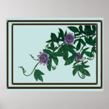 Passionsblomma Vine Tryck,  Affisch (Semi-Glans)