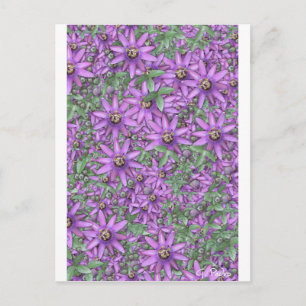 Passionsblommans explosion vykort