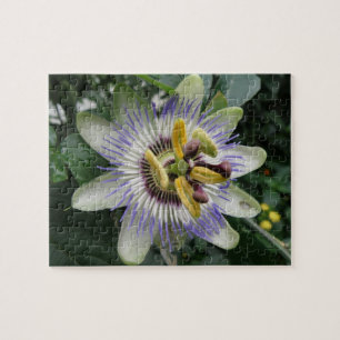 Passionsblommiga pussel
