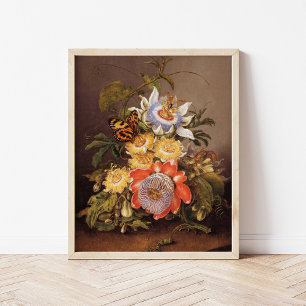 Passionsblommor Ferdinand Bauer Poster