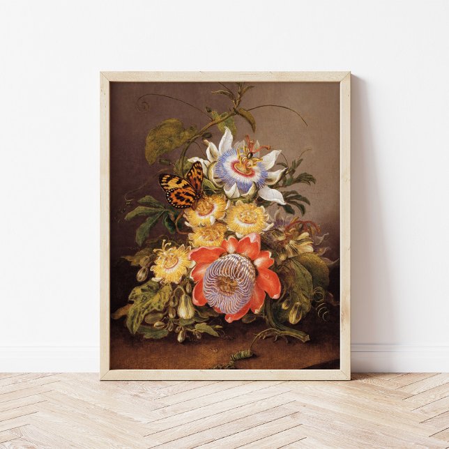Passionsblommor | Ferdinand Bauer Poster (Skapare uppladdad)