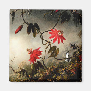 Passionsblommor med Hummingbird av M.J. Heade Magnet