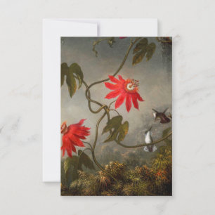 Passionsblommor med Hummingbird Heade OSA Kort