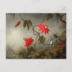 Passionsblommor med Hummingbird Heade Vykort