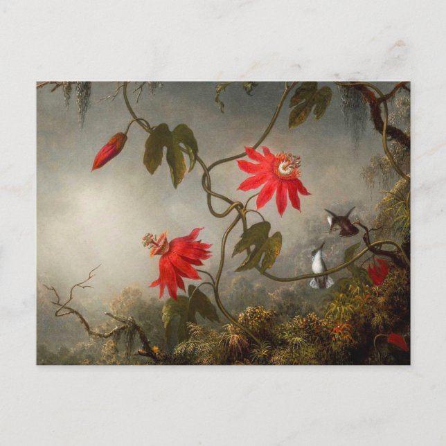 Passionsblommor med Hummingbird Heade Vykort (Framsida)