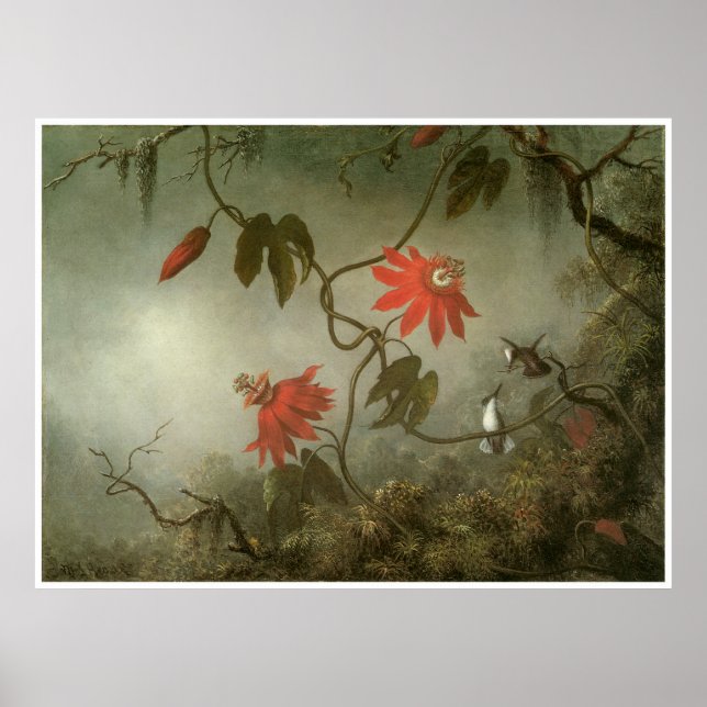 Passionsblommor och Hummingbird Poster (Framsidan)