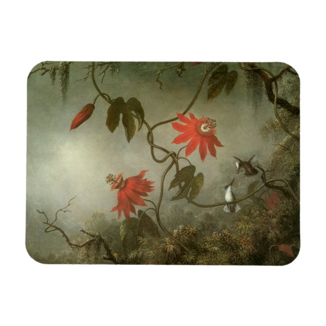 Passionsblommor och kolibrier av Martin J Heade Magnet (Horisontell)