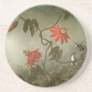 Passionsblommor och kolibrier av Martin J Heade Underlägg Sandsten