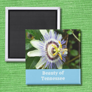 Passionsflodra Tennessee Statsblomma Magnet
