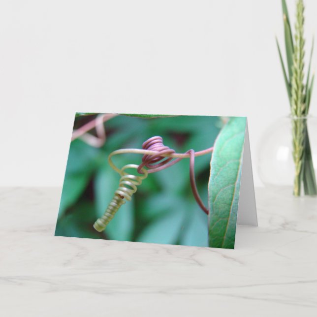 Passionsflora Kort (Framsida)