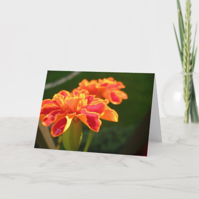 Passionskort Kort (Framsida)