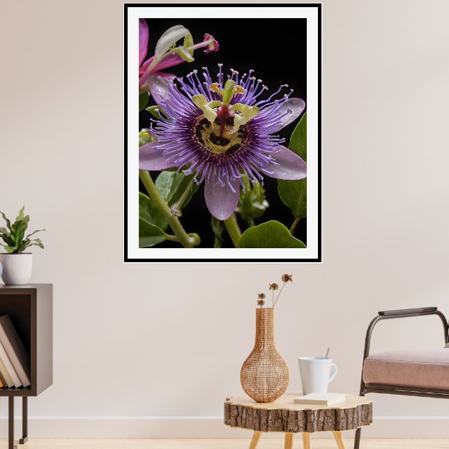 Passionskukke-blomma, Poster (Vardagsrum 3)
