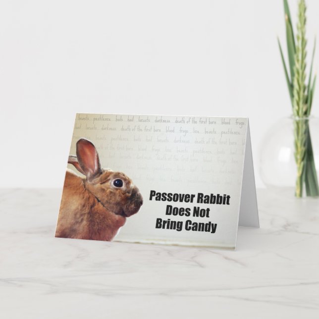 Passover Rabbit tar inte med sig godis Kort (Framsida)