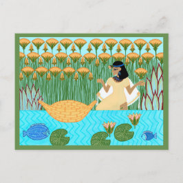 Passover Seder Card Vykort