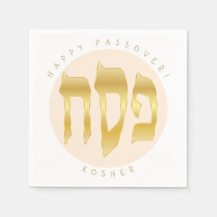 Passover Seder Kosher Pesach Symbols Pappersservett