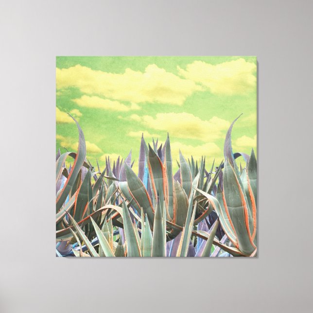 Pastel Agave Cactus mot molda himlar Collage Canvastryck (Framsida)