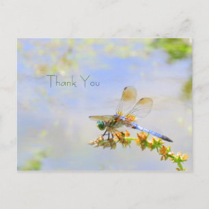 Pastel Dragonfly Tack-vykort Vykort