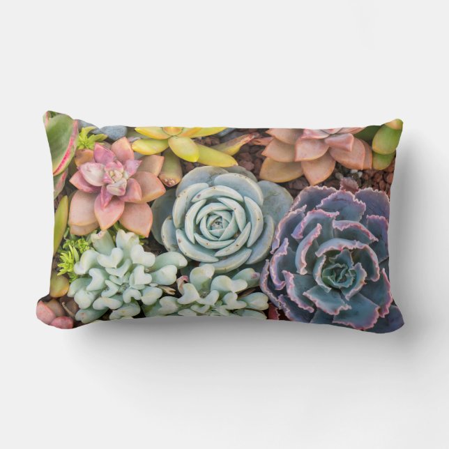 Pastel Färgad Succulants Lumbar Pillow Lumbarkudde (Framsida)