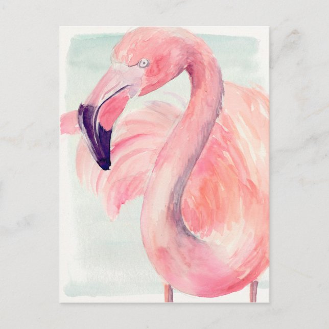 Pastel Flamingo Vykort (Framsida)