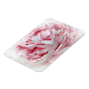 Pastel Flower Magnet