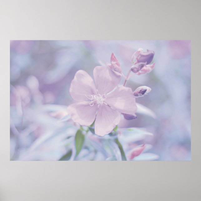 Pastel Flower Poster (Framsidan)