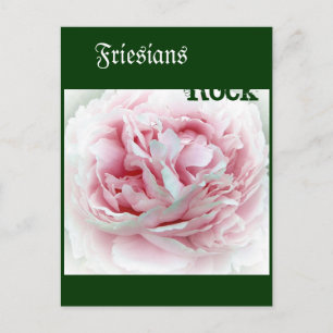 Pastel Flower Vykort