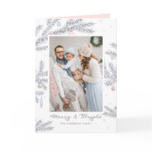 Pastel Frosted Gräs Nål Merry & Bright Photo